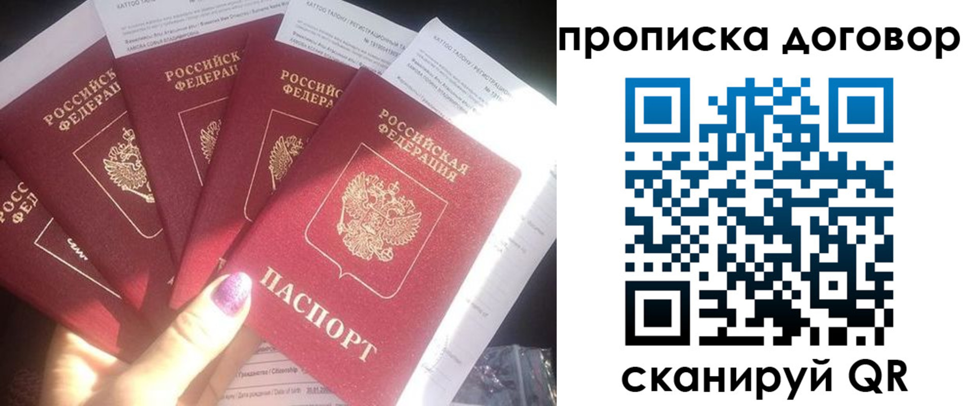 где прописаться в Благодарном
